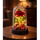 Eternal Rose in Dome with LED Lighting Red with Rose Petals 14x8cm | Shoptok.si