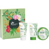 Aloe Vera Trio Gift Set - 1 set | shoptok.hr