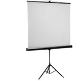 Projekcijsko platno E-View TS200, 203×203cm, na stalku