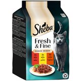  Ekonomično pakiranje Sheba Fresh & Fine 72 x 50 g - Govedina, piletina i janjetina u umaku | shoptok.hr