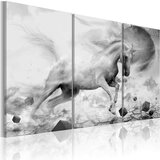  Slika - A unicorn on the edge of the world 60x40 Cijene