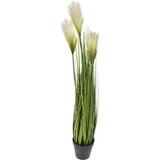  CVIJEĆE 85CM Cijene
