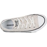 Converse Chuck Taylor All Star Bež | shoptok.hr