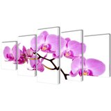  Zidne Slike na Platnu Set s Printom Orhideja 200 x 100 cm Cijene