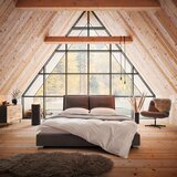 Bessagi Home Oblazinjena Postelja Luisa, Temno Siva, 180x200 Cene