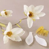 Mini kreativni set | Grančica magnolije od papira krep | ePonuda.com