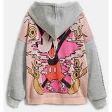 Desigual Jopa na zadrgo siva / temno roza / rdeča / črna | Shoptok.si