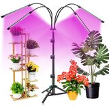 Ct led svetilka za rast rastlin s 4 glavami + stojalo 1,6m Cene