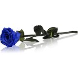 RoseAmor Blue stabilizirana ruža na stabljici 1 kom | shoptok.hr