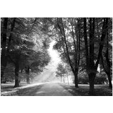  Samoljepljiva foto tapeta - Path of Memories 441x315 | shoptok.hr