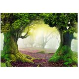  Tapeta - Enchanted forest 100x70 | shoptok.hr