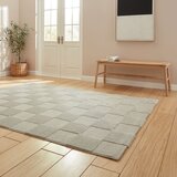 Think Rugs Svetlo siva preproga 160x230 cm Elio Silver – | Shoptok.si