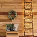  LED spoljašnji božićni lanac 100xLED/10m IP44 topla bela | Eponuda.com