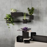 Umbra Plastične posude za cvijeće u setu 4 kom za bilje/viseće i zidne Cubiko – | shoptok.hr