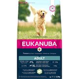 Eukanuba Adult Large Breed jagnjetina in riž - Varčno pakiranje: 2 x 12 kg Cene