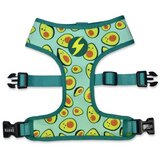Dashi Neo Mesh Harness Avocado S | Eponuda.com