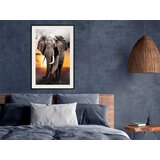  Poster - Majestic Elephant 30x45 | shoptok.hr