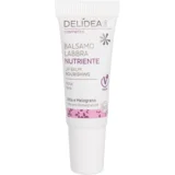 Nourishing Lip balm - 10 ml