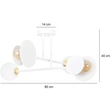  Luster na šipci MINERVA 2xE27/15W + 2xE14/10W/230V bela | Eponuda.com