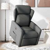 Maison Chic Električni naslanjač - Relax naslanjač s funkcijo vstajanja temno siv, (22061827) Cene