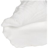 Ixia Kipec iz poliresina (višina 13 cm) Seashell – | Shoptok.si