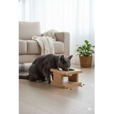 Paws & Whiskers Zdjela za hranu za kućne ljubimce šarena | Eponuda.ba