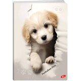 Teka MEKI UVEZ A4 KARO 40 PLUS 2L 80G PEEKABOO PETS ELISA | Shoptok.si
