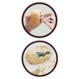 BUKI Dino jaje 204629 | ePonuda.com