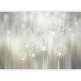 Artgeist Fototapeta Gift Of The Sun, 350x245cm | Shoptok.si