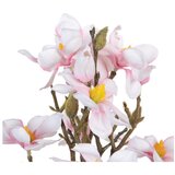 Ixia Umetna rastlina (višina 41 cm) Magnolia – | Shoptok.si