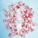Chantecaille Purifying and Exfoliating Phytoactive Solution čistilni tonik za obraz 100 ml | Shoptok.si