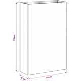 Vrtna saksija Rđa 40 x 20 x 75 cm Otporni čelik - Otporni čelik 40 x 20 x 75 cm 1 | shoptok.hr