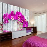  Tapeta - Violet orchids with water reflexion 250x193 Cijene