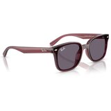 Ray-ban naočare za sunce rb 4461D 659373 | ePonuda.com