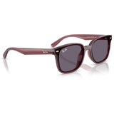Ray-ban RB4461D 659373 ONE SIZE (64) Rjava/Vijolična | Shoptok.si