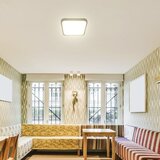  LED plafonsko svetlo za kupatilo LED/18W/230V IP44 6500K 25x25 cm crno | Eponuda.com