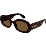 Chloe CH0258S 002 ONE SIZE (53) Havana/Rjava Cene
