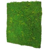 MID.YOU STENSKI PANEL | Shoptok.si