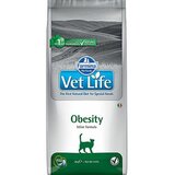 Farmina vet life cat obesity 2 kg Cene