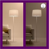 Wiz - LED RGBW prigušiva lampa BAR LED/5,5W/230V Wi-Fi | Eponuda.com