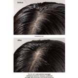 Aveda Scalp Solutions Balancing Shampoo pomirjujoči šampon za obnovo lasišča 50 ml | Shoptok.si
