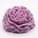 NOBAMO Sveča Pivonka - Vijolična / Sivka Cene