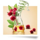 Garnier Botanic Therapy Ricinus Oil & Almond okrepitveni šampon 250 ml za ženske | Shoptok.si