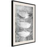  Poster - Delicate Feathers 40x60 | shoptok.hr