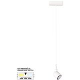  led magnetna visilica cct ultra slim FMS4002-7 wh Cene