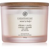 Chesapeake Bay Candle Mind & Body Stillness & Purity mirisna svijeća I. 312 g | shoptok.hr