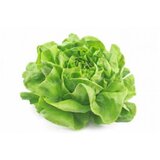  SALATA ZELENA cene