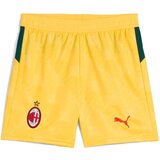 Puma Kratke hlače & Bermuda Acm Replica Jr Rumena Cene