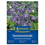 KIEPENKERL Cvetlična semena Vanilijevka Sonnenwende (Heliotropium arborescens, Vijolična) | Shoptok.si