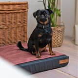Rexproduct bordo rdeča prevleka za ležišče za pse 70x60 cm ori l | Shoptok.si